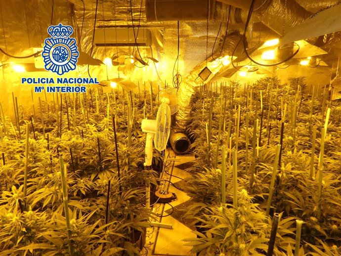 Nota De Prensa: "La Policía Nacional Desmantela En Toledo Dos Plantaciones Indoor De Marihuana"