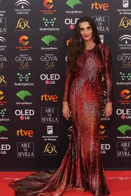 La actriz Ángela Molina, posa en la alfombra roja de la XXXIV edición de los Premios Goya, en Málaga (Andalucía, España), a 25 de enero de 2020.
