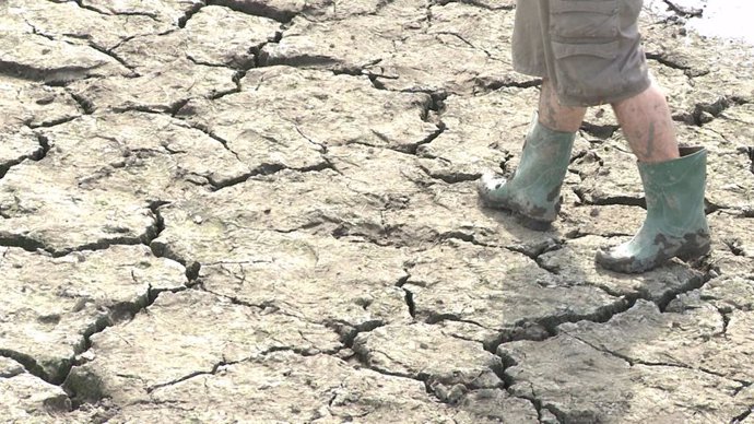 Sequía en Valencia del Ventoso (Badajoz)