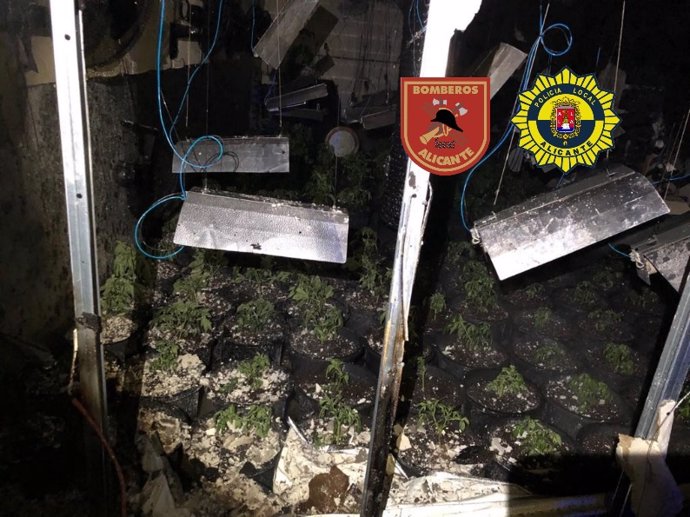 Els Bombers Del Speis Descobrixen Una Plantació Indoor De Marihuana En Extingir Un Virulent Incendi Industrial En Una Nau Del Polígon Del Pla De la Vallonga