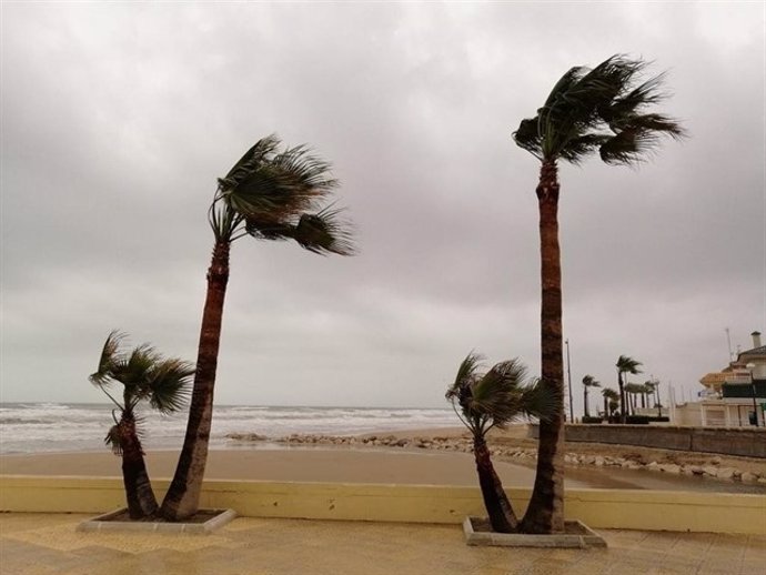 Efectos de las fuertes rachas de viento en una imagen de archivo