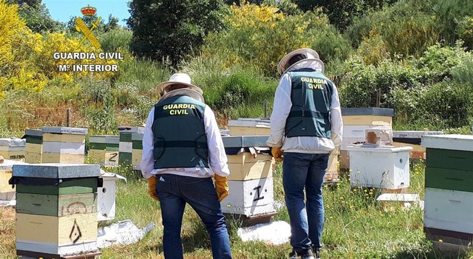 Dos detenidos por la sustracción de ocho colmenas en Carrocera (León).