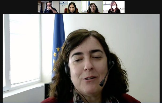 Webinar 'Marco financiero plurianual 2021-2027 y Plan de recuperación para Europa' de la Diputación de Huelva.