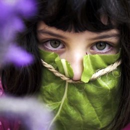 Obra De David Segarra.