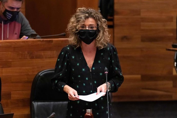 Susana Fernández en la Junta General.