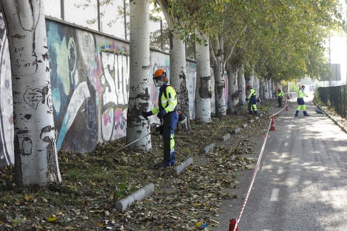 Tareas de desbroce en el carril bici junto a la autovía