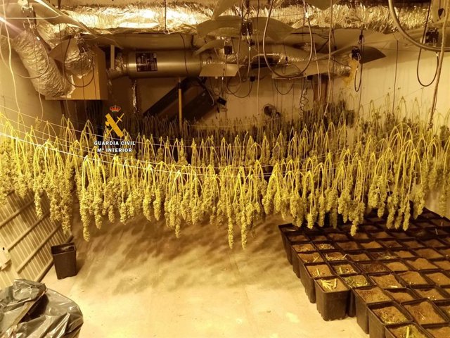 Rtdo. Nota De Prensa