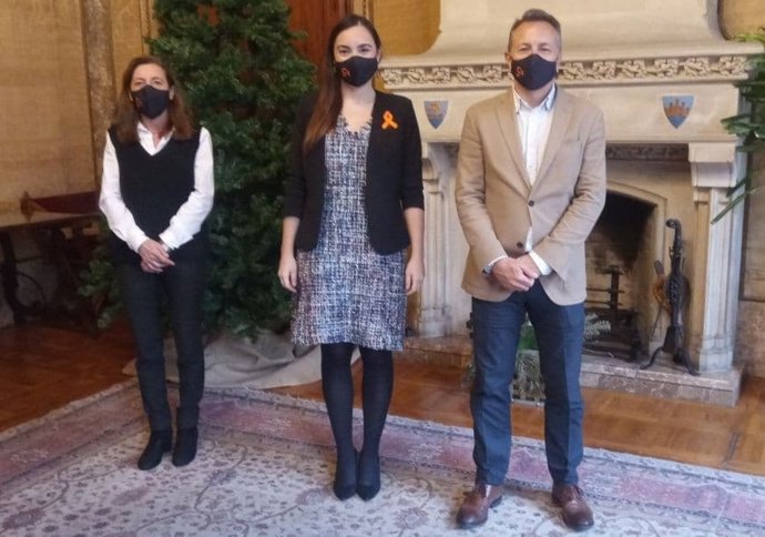 Los consellers de Cs en el Consell de Mallorca.