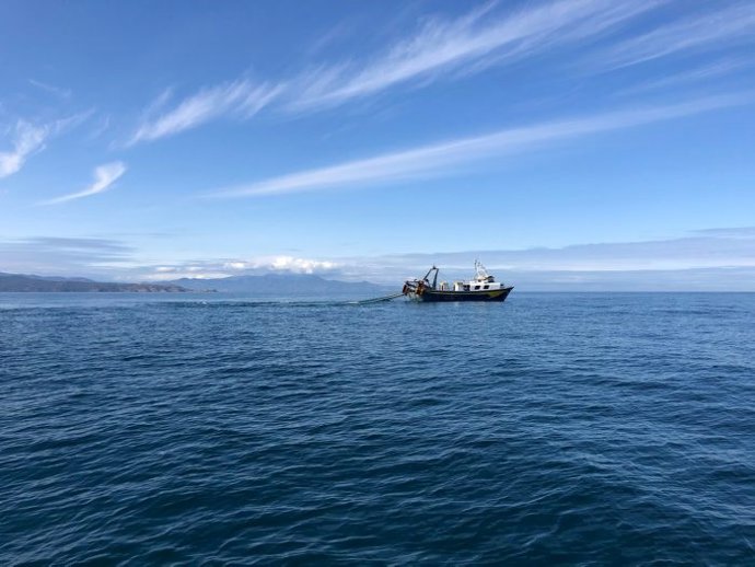 Han iniciado el seguimiento de invierno de la población de delfín mular