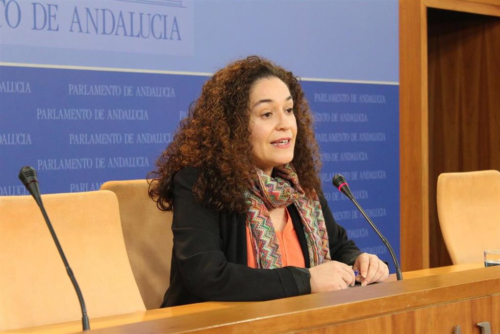 La portavoz parlamentaria de Adelante Andalucía, Inmaculada Nieto, en rueda de prensa.
