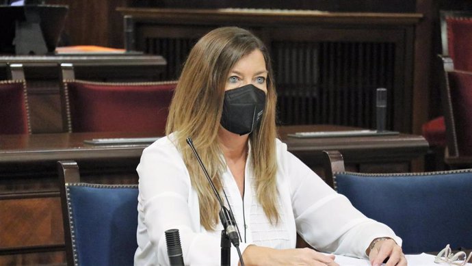 La consellera de Salud, Patricia Gómez, en la comparecencia en el Parlament.
