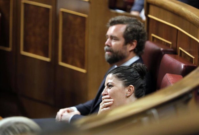 El portavoz de Vox en el Congreso, Iván Espinosa de los Monteros; y la secretaria general de Vox en el Congreso, Macarena Olona, en el Pleno