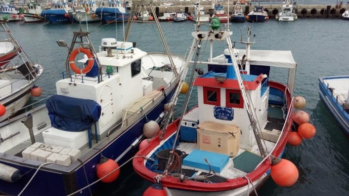 Barcos pesqueros de Huelva amarrados a puerto.