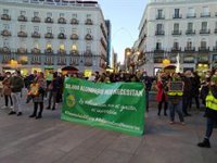 PSOE, Podemos y Más Madrid se unen a la concentración de docentes en Sol para pedir la renovación de contratos Covid