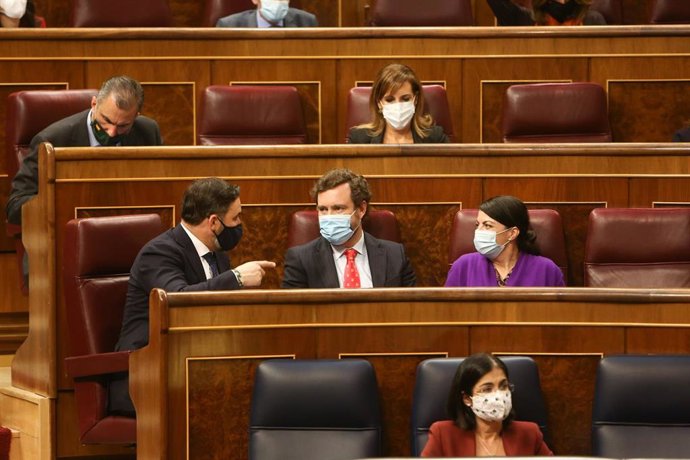 El líder de Vox, Santiago Abascal, en su escaño en el Congreso junto a otros diputados de su grupo.