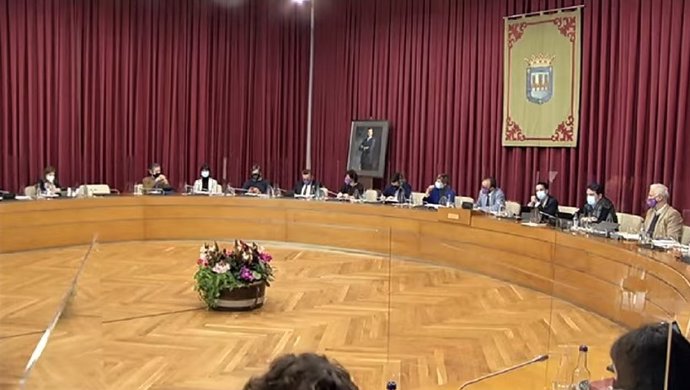 Pleno del Ayuntamiento de Logroño, correspondiente al mes de noviembre de 2020.