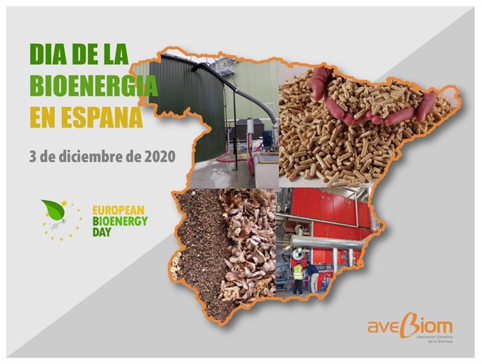 Día de la Bioenergía en España.
