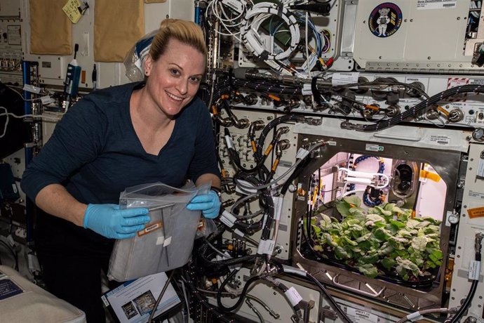 Kate Rubins muestra los primeros rábanos cultivados en la Estación Espacial.