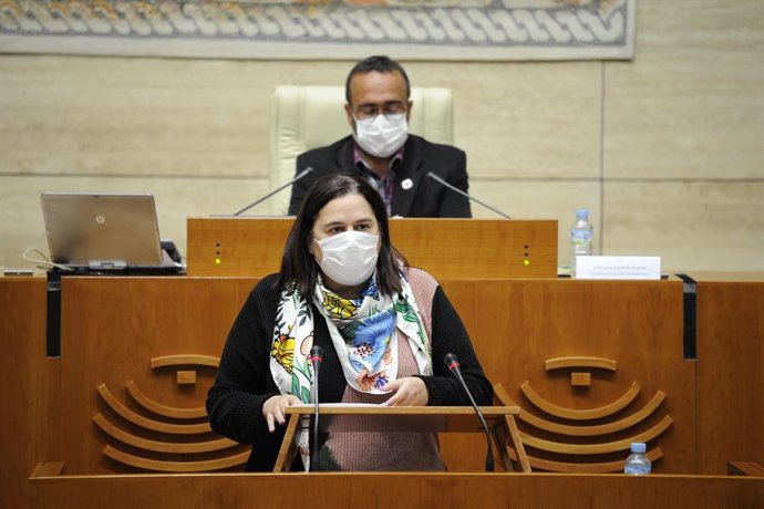 La consejera de Agricultura, Begoña García, durante su comparecencia en la Asamblea.
