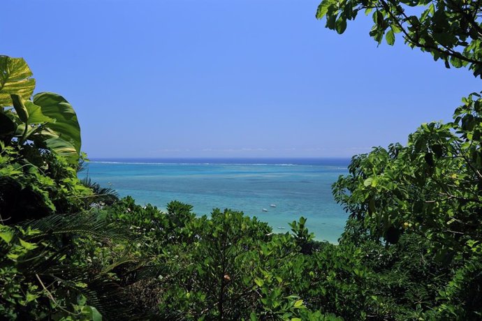 Playa en la isla de Okinawa