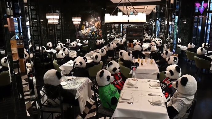 Osos panda de peluche reemplazan a los clientes de un restaurante de Frankfurt afectado por la pandemia