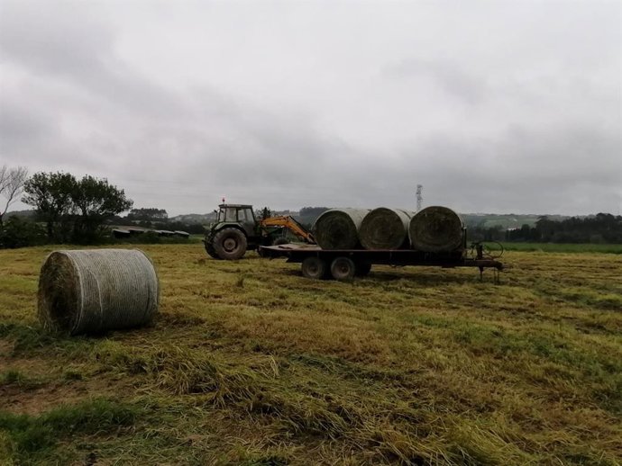 Trabajos en el campo, rural, agricultura, PAC, tractor.