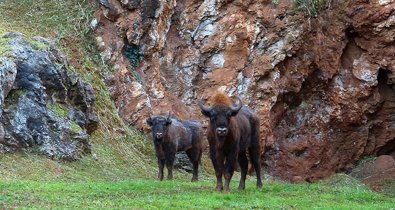 Cantabria