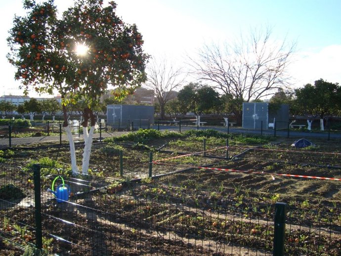 Huertos del Alamillo