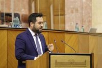 PP-A y Cs pedirán que el Parlamento andaluz defienda la Constitución y rechace el "recorte de libertades" del Gobierno