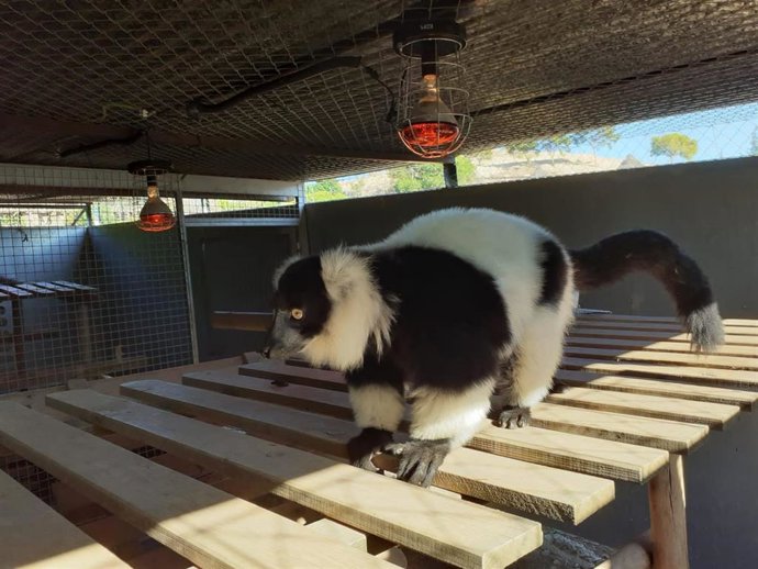 El parque Terra Natura Murcia enciende la calefacción para sus animales