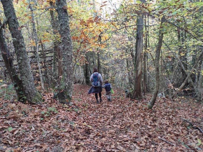 Bosque de La Honfría en la sierra de Las Quilamas (Salamanca).