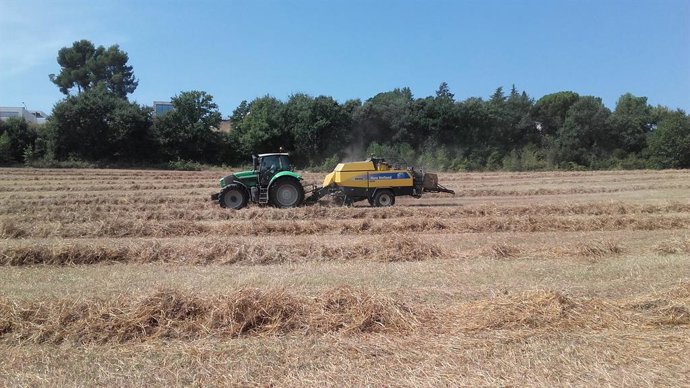 Imatge de recurs d'un tractor.
