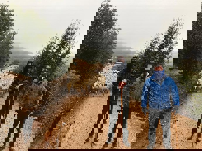 Apoyo a la ganadería trashumante de la Diputación de Jaén