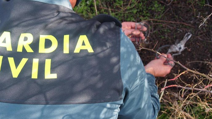 Actuación de la Guardia Civil para detectar trampas ilegales