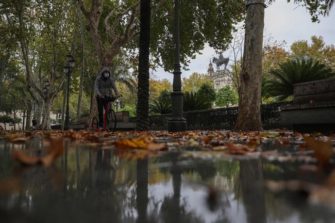 Lluvia en la Plaza Nueva. En Sevilla (Andalucía, España), a 04 de diciembre de 2020.