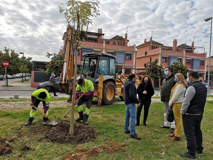 [Sevilla] Nota De Prensa Y Fotos Plantaciones Parque Guadaíra