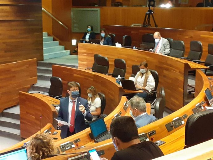 EL consejero de Industria, Empleo y Promoción Económica, Enrique Fernández, durante su intervención en el pleno de la JGPA de este martes.