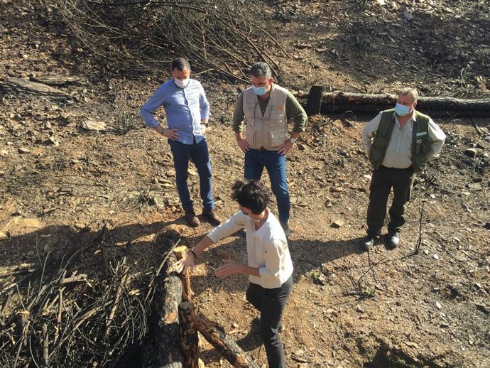 El delegado territorial visita los trabajos en la zona afectada por el incendio