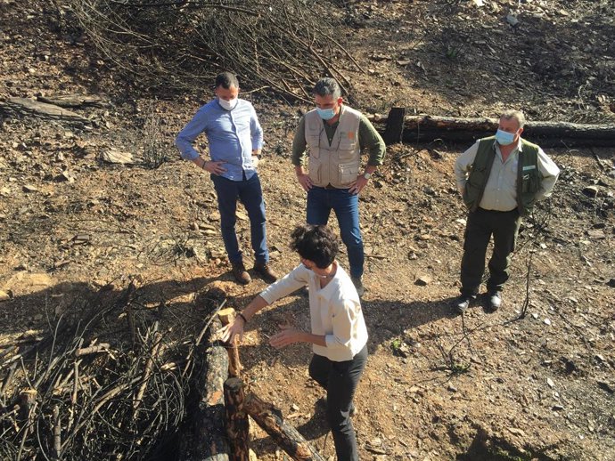 El delegado territorial visita los trabajos en la zona afectada por el incendio