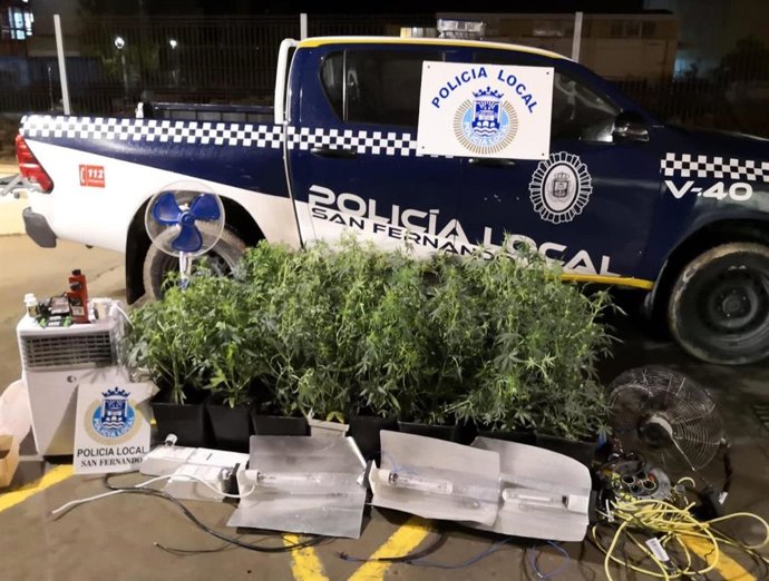 Plantas intervenidas