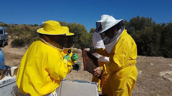 Colmenar de Los Ruices en Málaga