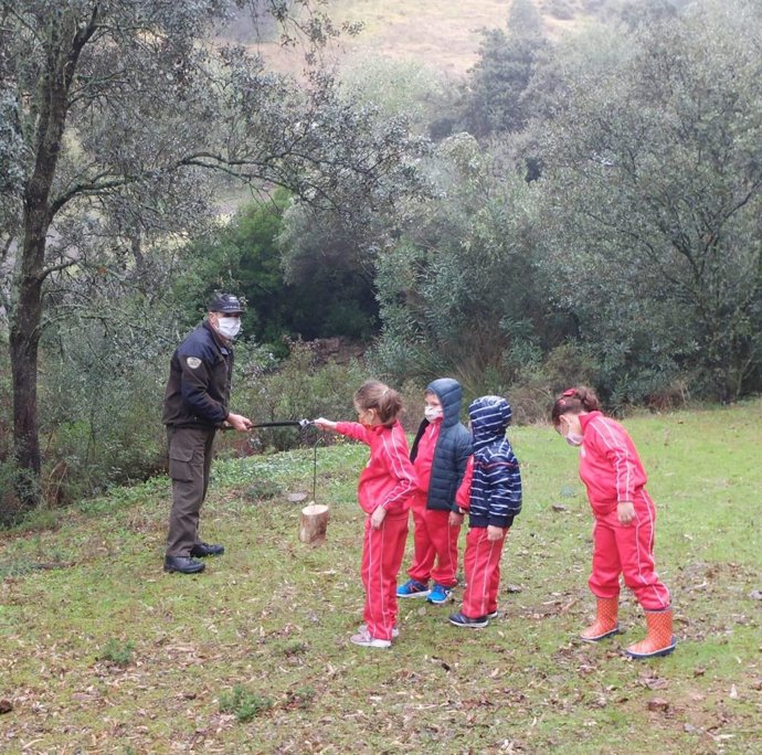 Acrividades de educación ambiental