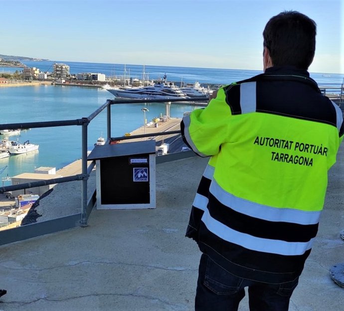 El Port de Tarragona inicia una campaña para recuperar el halcón peregrino como especie nidificante con la colocación de dos cajas nido de madera y la adecuación de la cornisa en los silos del Muelle de Reus.