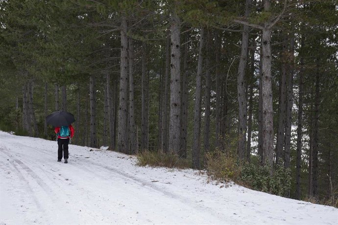 Un senderista camina por una ruta forestal en el área de La Pedriza, en el municipio de Manzanares El Real, Madrid (España), a 7 de diciembre de 2020. Este lunes 7 de diciembre la Agencia de Seguridad y Emergencias Madrid 112 ha activado el nivel 0 del 