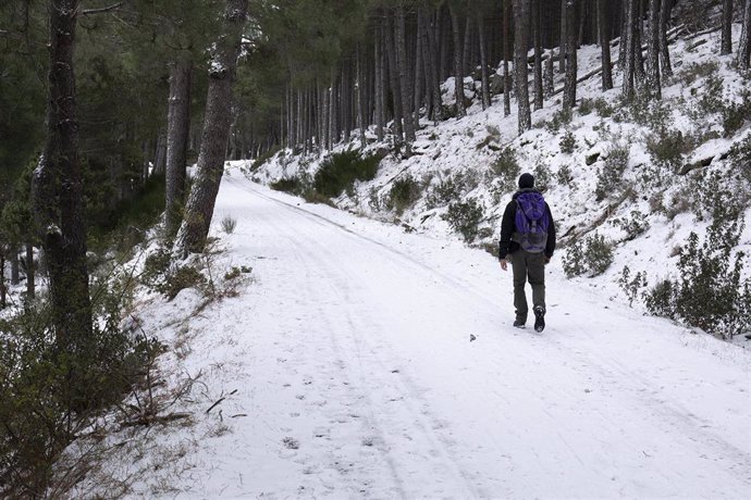 Un senderista camina por una ruta forestal en el área de La Pedriza