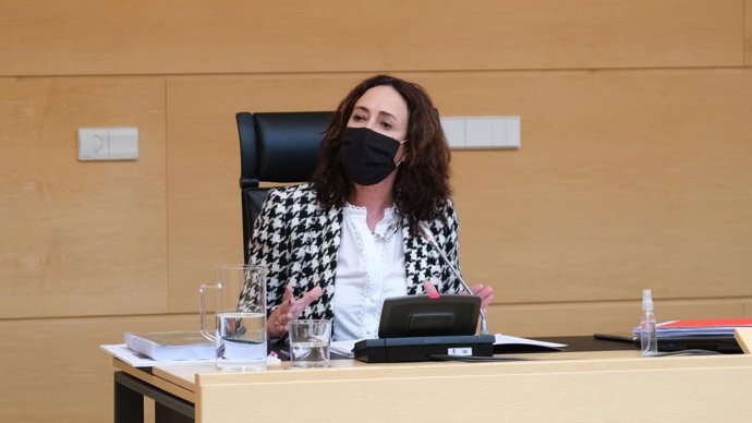 Rosa Rubio interviene en la Comisión de Economía y Hacienda en el debate del proyecto de presupuestos de la Junta para 2021