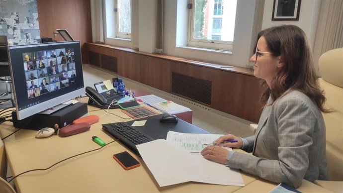 Ana Carlota Amigo preside la reunión telemática con en Consejo Regional de Economía Social.