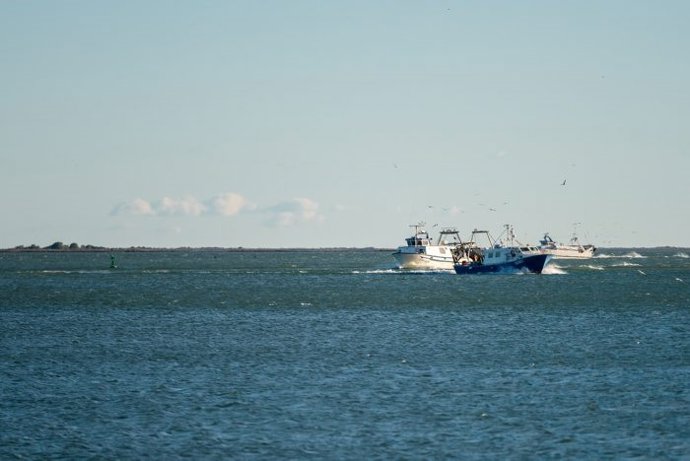 Sector de la pesca en Catalunya.