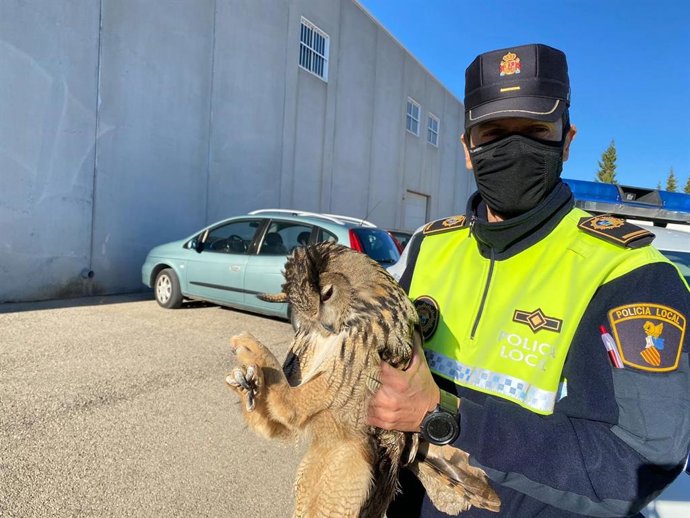 Un policía local de la Font de la Figuera con un búho real rescatado