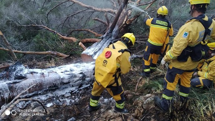Efectivos del Ibanat sofocando el fuego de Bunyola.